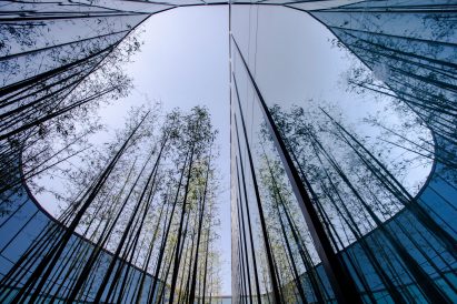 A tree-lined atrium 