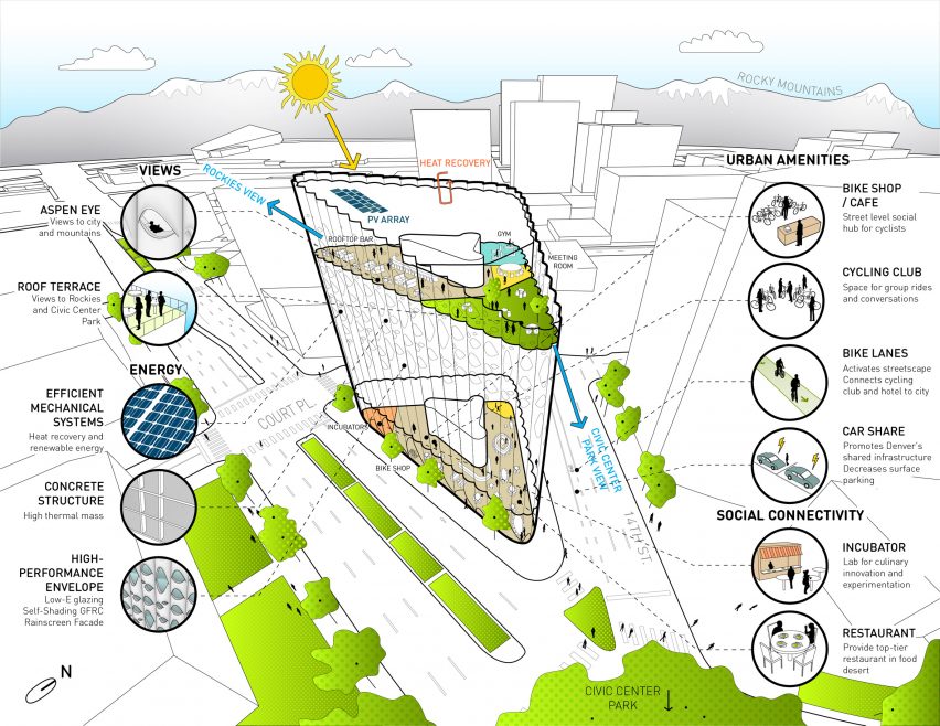 A diagram of Populus