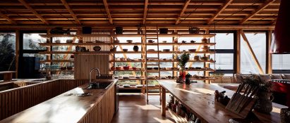 Pine interiors of Punta Chilen extension