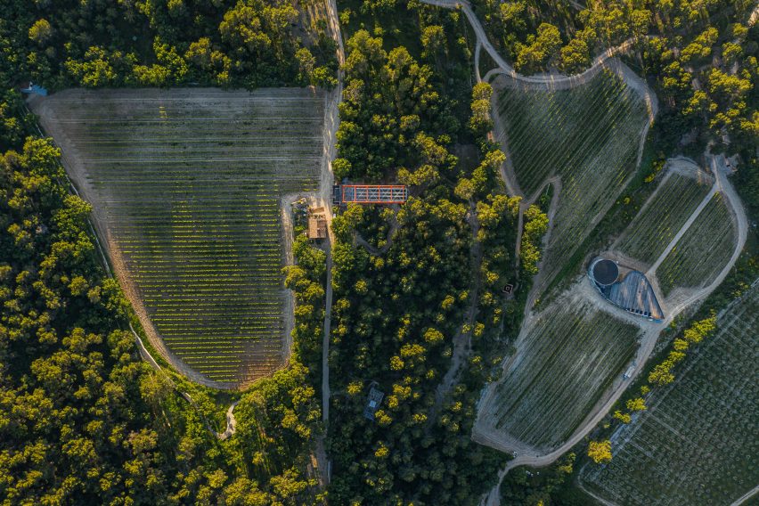 The Richard Rogers Drawing Gallery by Richard Rogers and Rogers Stirk Harbour + Partners at Château La Coste vineyard in France