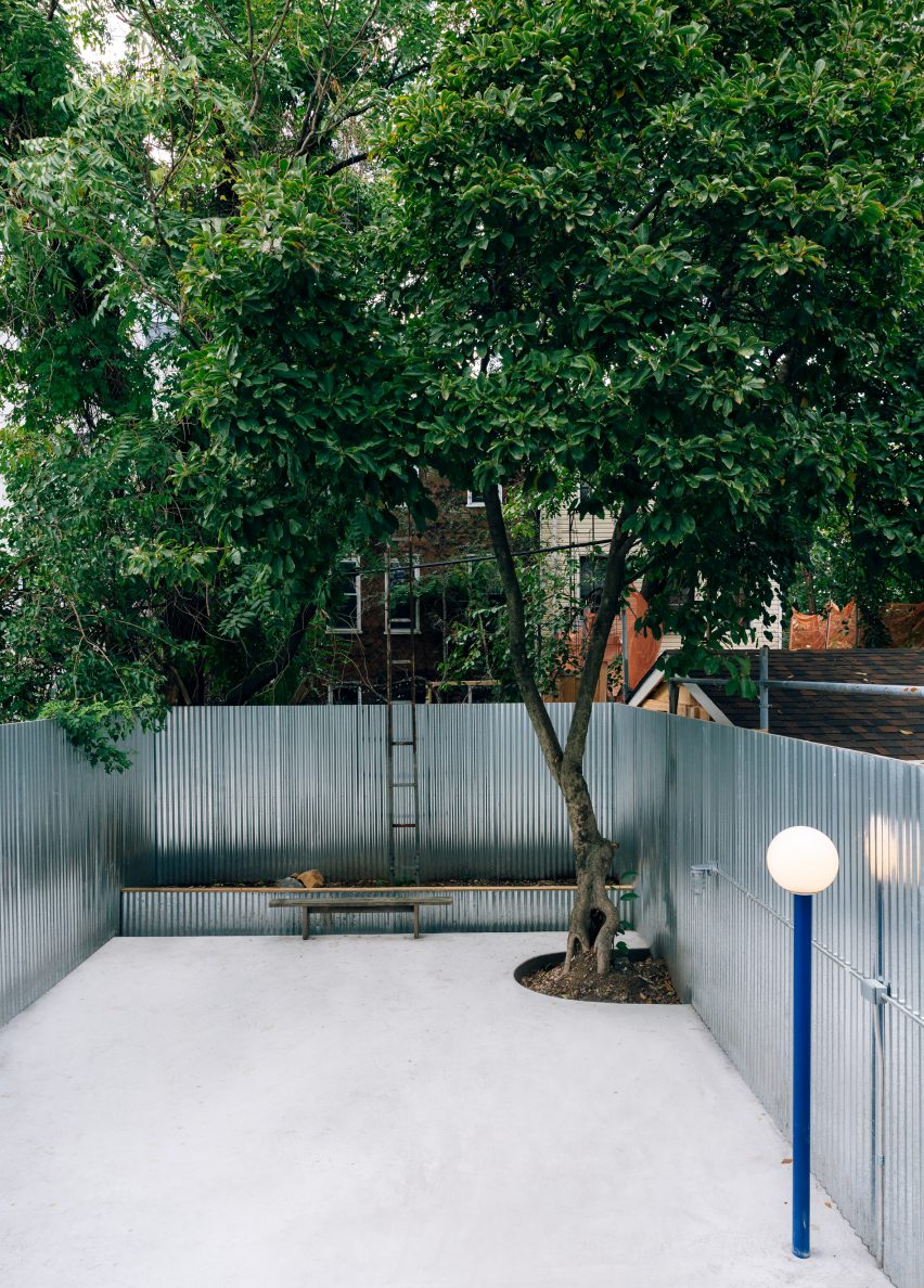 A view of the magnolia tree in the garden