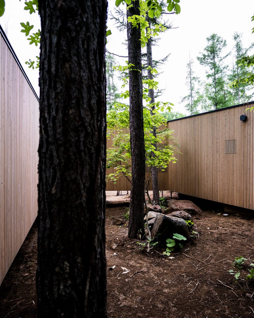 It was designed around trees