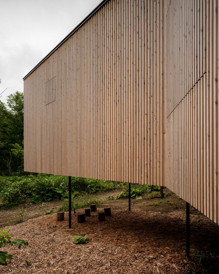 Windows are concealed behind cedar slats