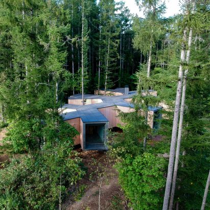 Florian Busch embeds branch-shaped holiday home in Japanese forest