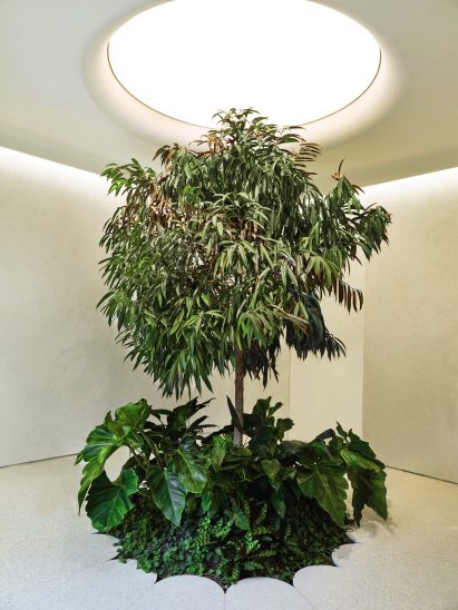 Waiting area of Alchemy in Toronto
