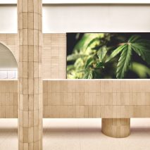 Alchemy marijuana shop by Paolo Ferrari