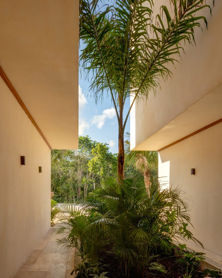 Tall palm trees surround the holiday resort