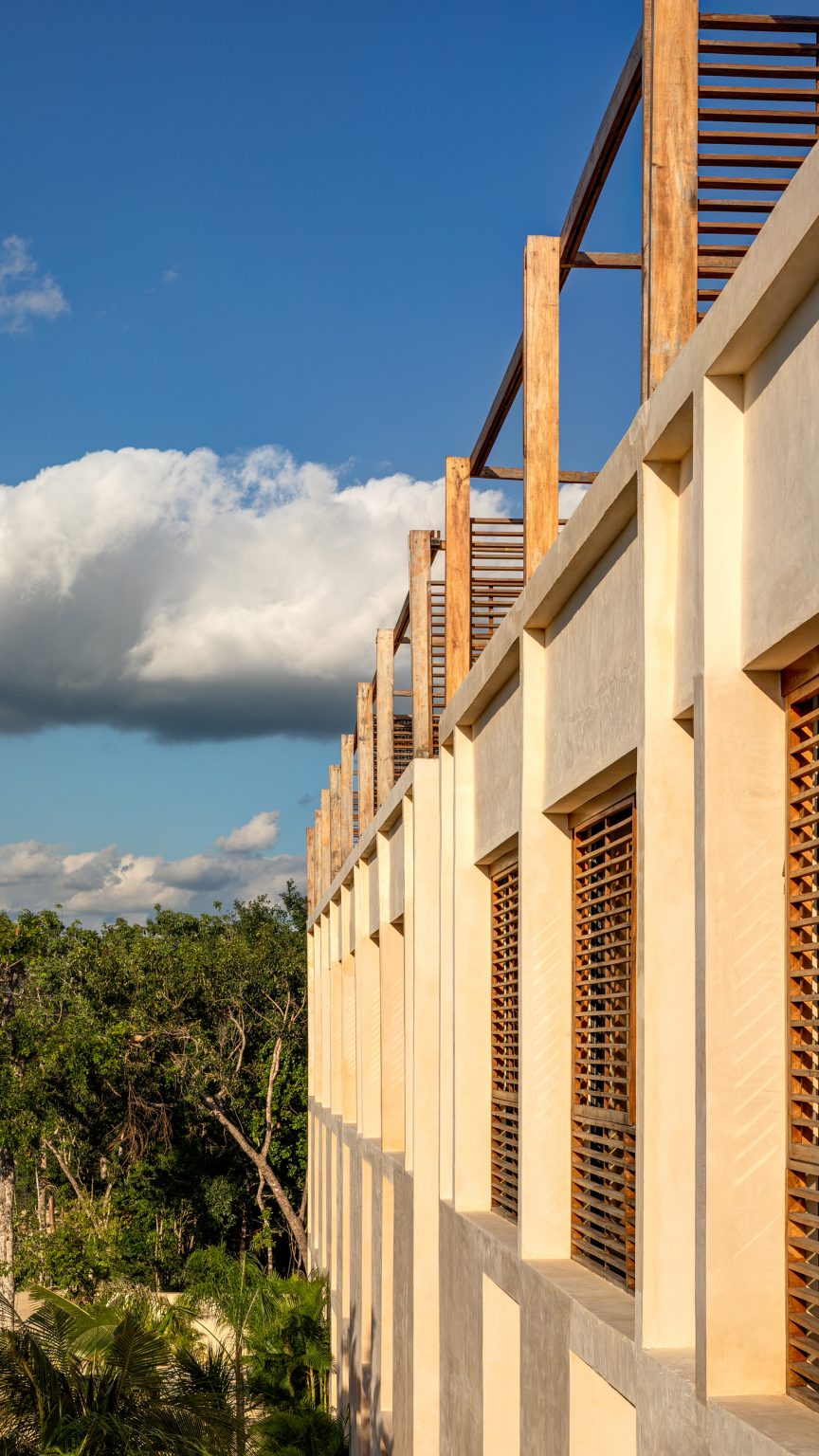 Delicate wooden frames line the rooftop