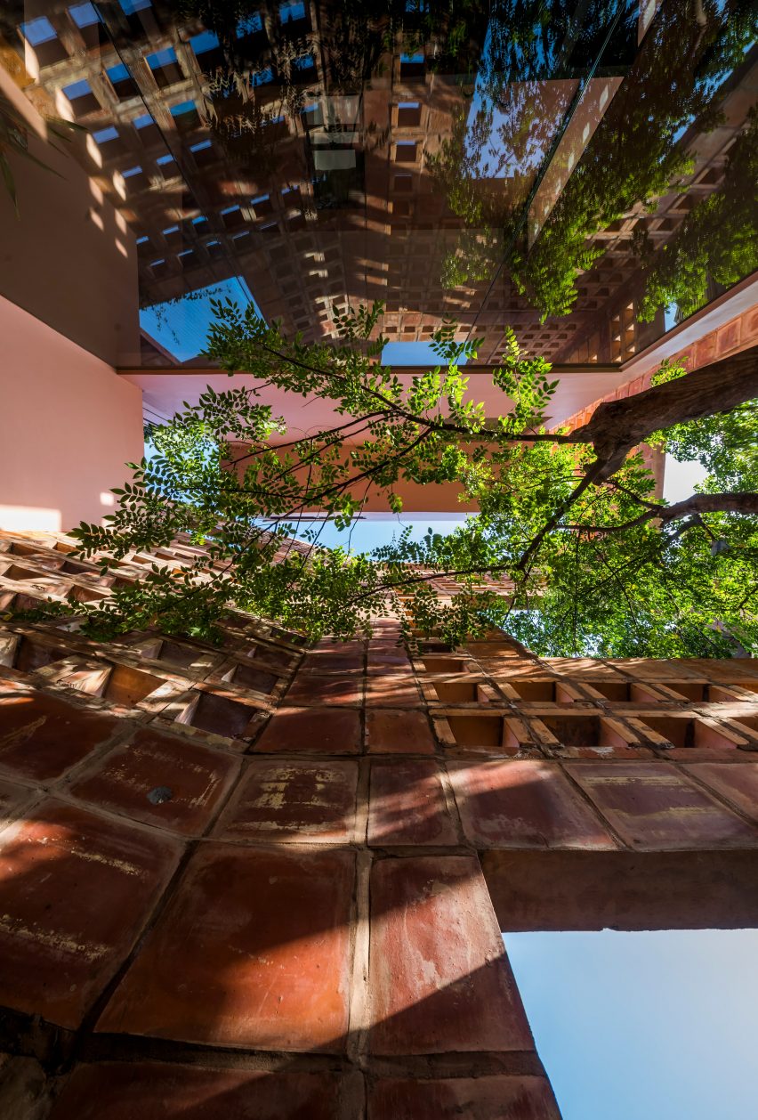 View of tree from within the home