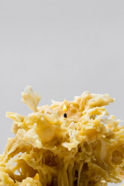 Close-up of 64 candle