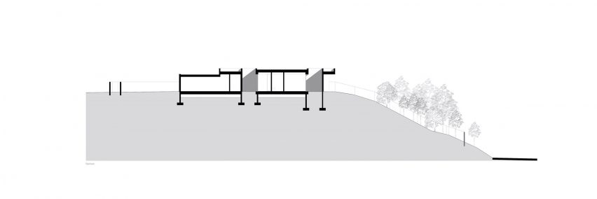 Drawing Cork Trees House
