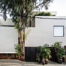 Tree in facade of Eucalyptus House by Paritzki & Liani Architects