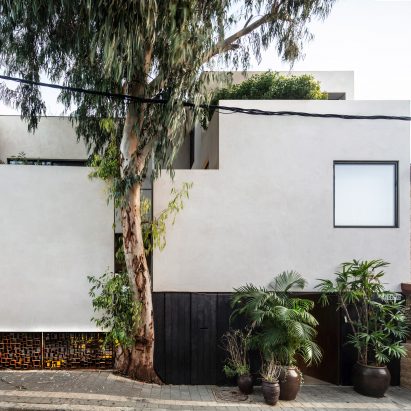 Tree in facade of Eucalyptus House by Paritzki & Liani Architects