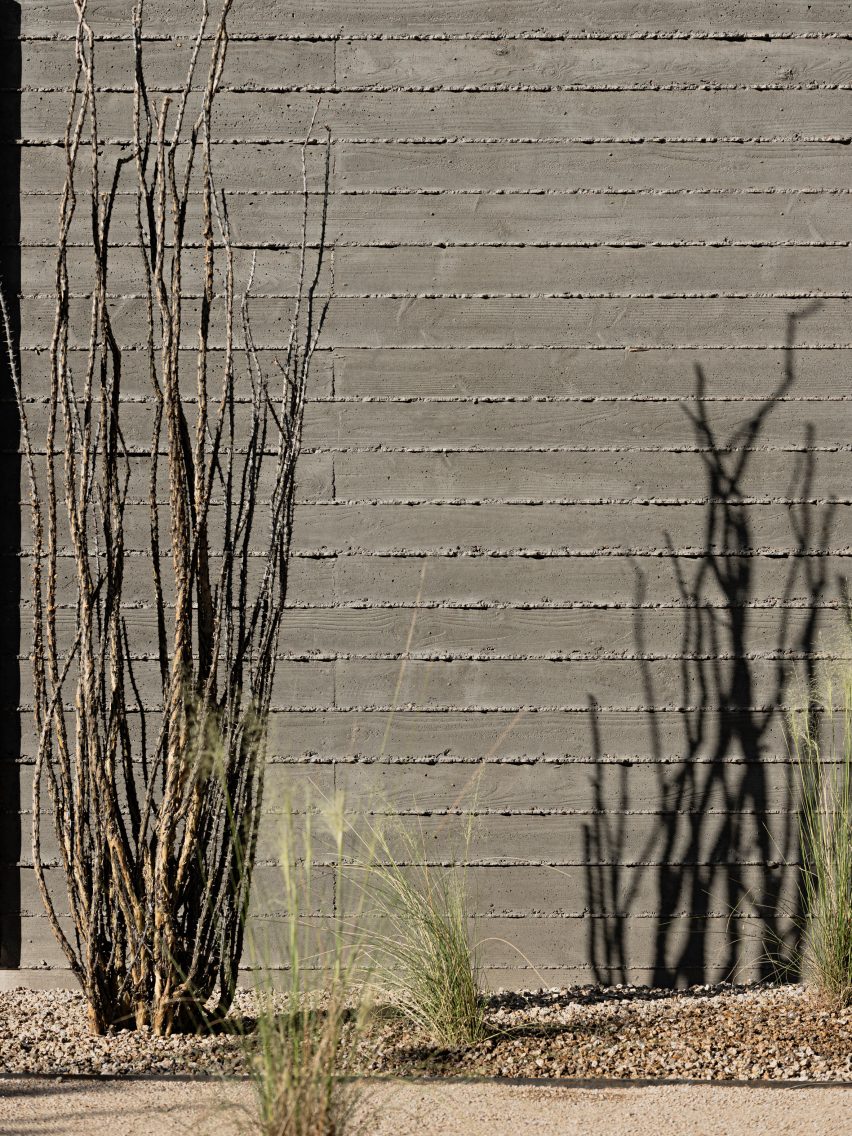 Shadows from local vegetation