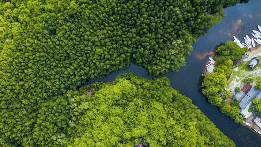 An aerial view of a tropical forest in Indonesia