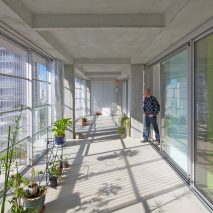 A winter garden within a housing block in France