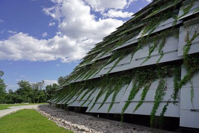 Plant-covered panels over the Peking Man cave in China