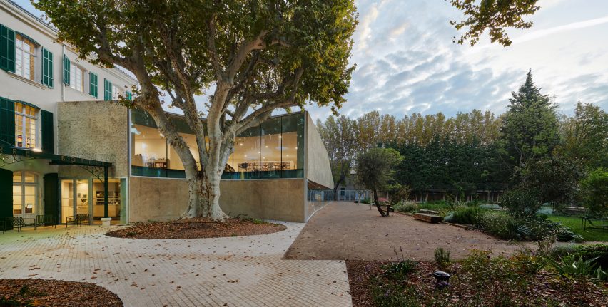 A large tree is surrounded by the curved facade