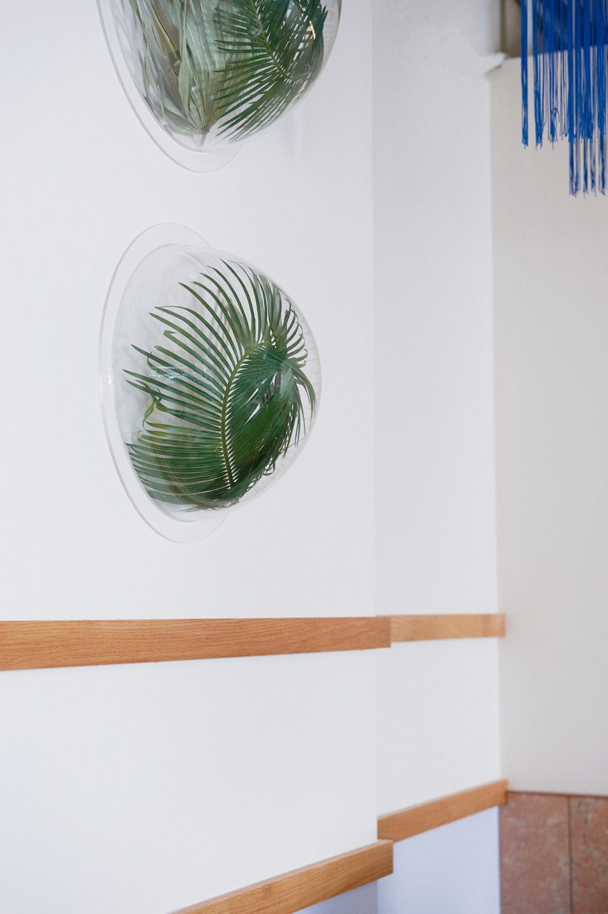 Plants in bubbles decorate the walls