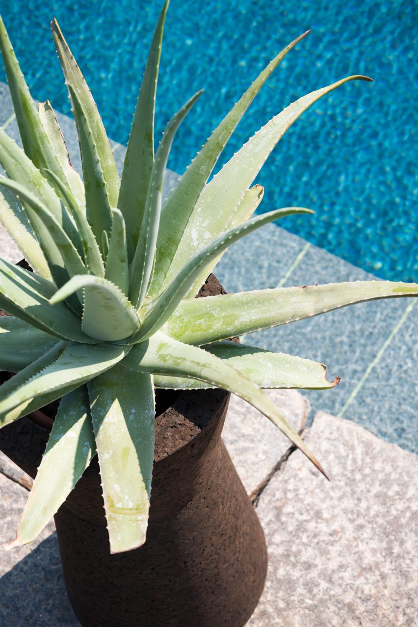 Bush On cork planters by Gordon Guillaumier for Roda 2021 catalogue