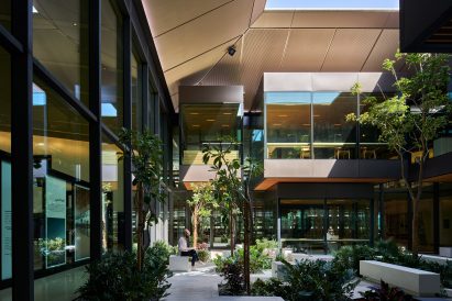 A plant-filled courtyard