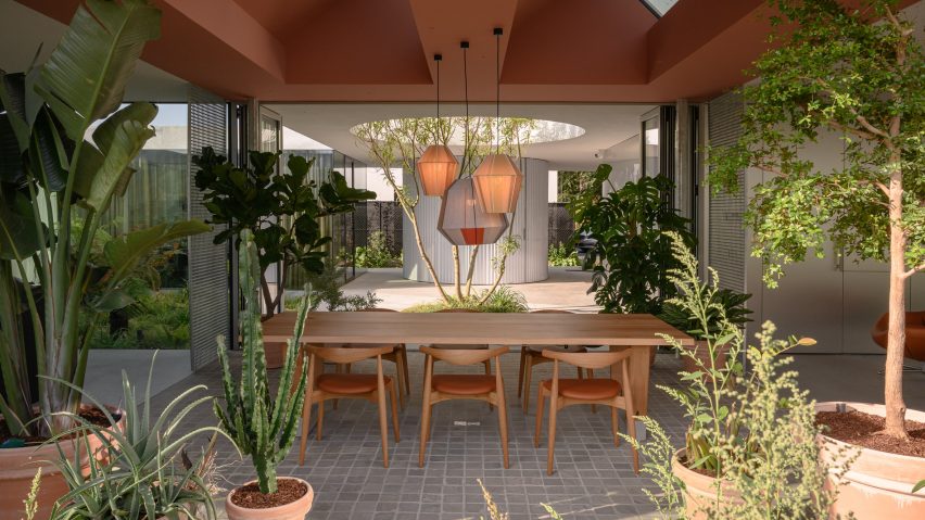 Wood dining table surrounded by potted plants