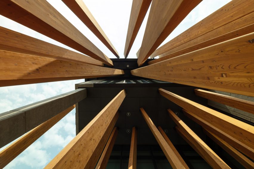 Timber strips seen from below