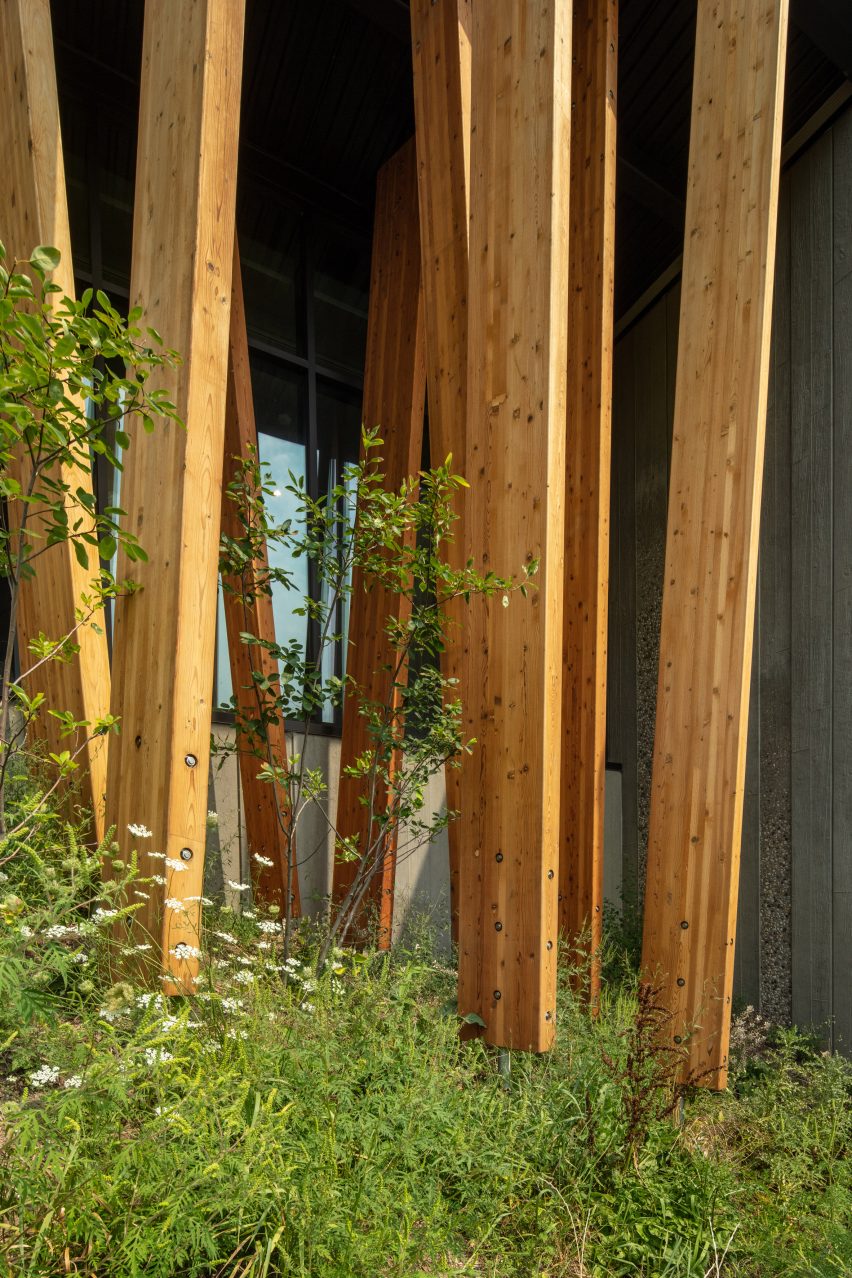 Timber strips wrap the museum