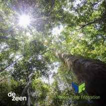Watch our talk with the Timber Trade Federation about the benefits of tropical timber