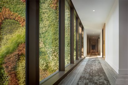 Green wall viewed from inside