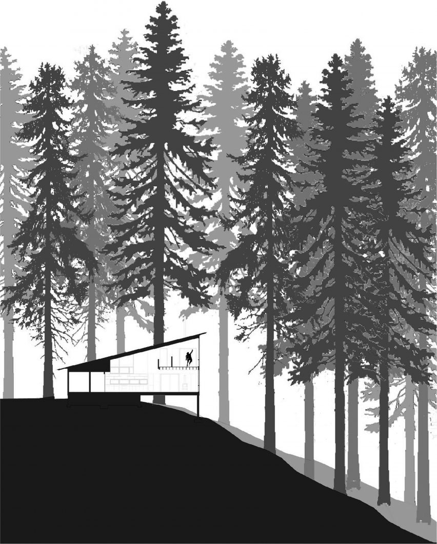 The dwellings sit within a forest