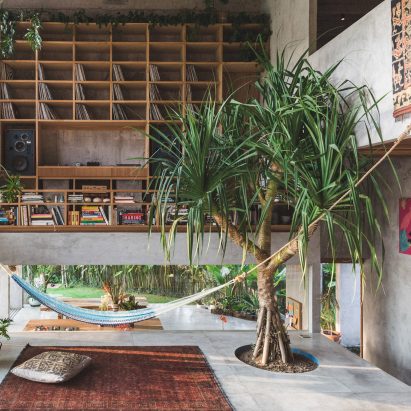 A living room with a screw pine tree