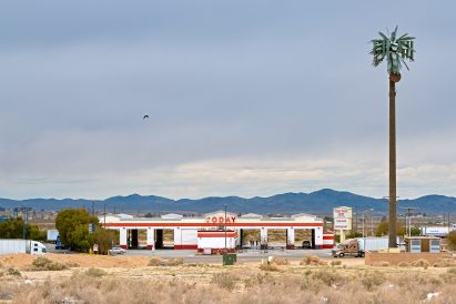 Fauxliage palm tree cell tower