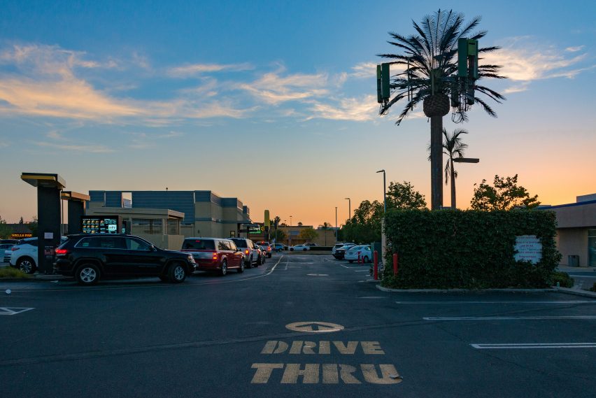Large palm tree with cell tower technology