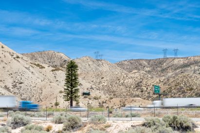 Pine tree cell tower in a desert