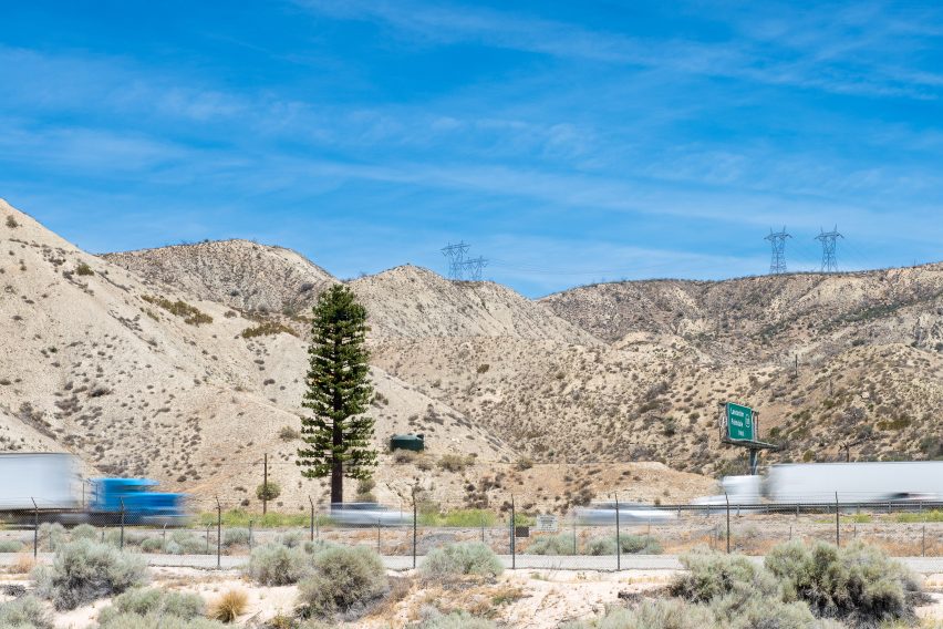 Pine tree cell tower in a desert
