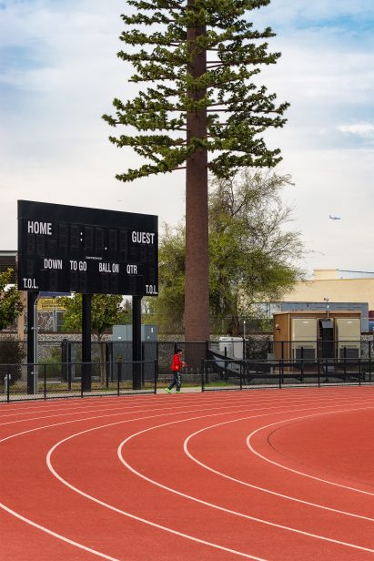 Pine tree cell tower next to running track