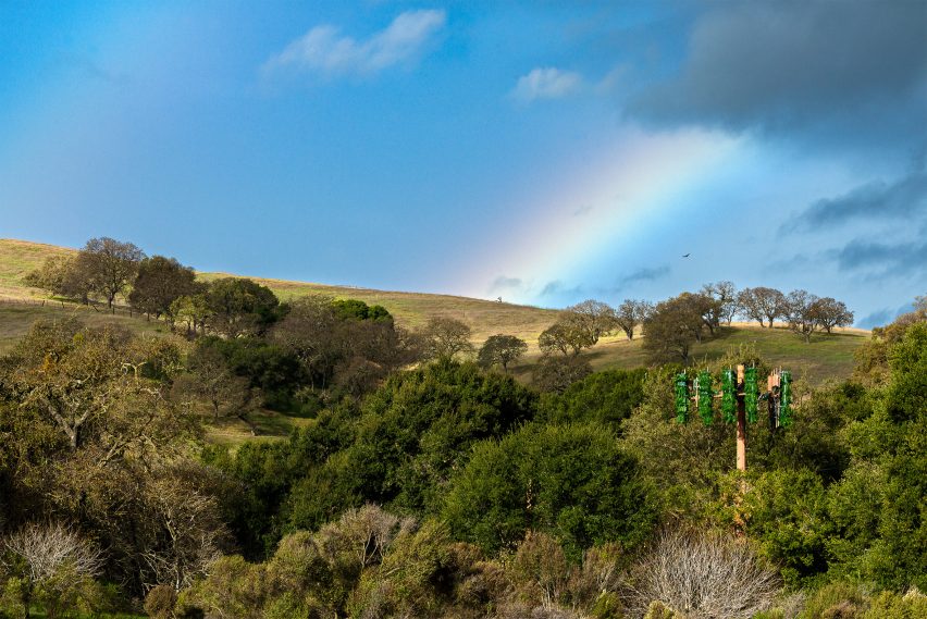 Rainbow over fake palm tree