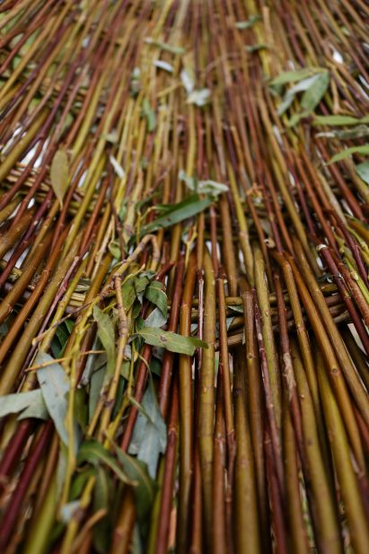 Weeping willow trees informed the project