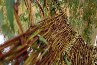 Weeping Seat takes its name from the weeping willow it is made from