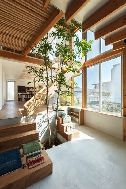 An atrium with a tree