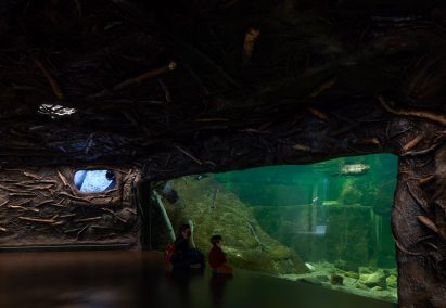 Beaver tank at the Montreal Biodome