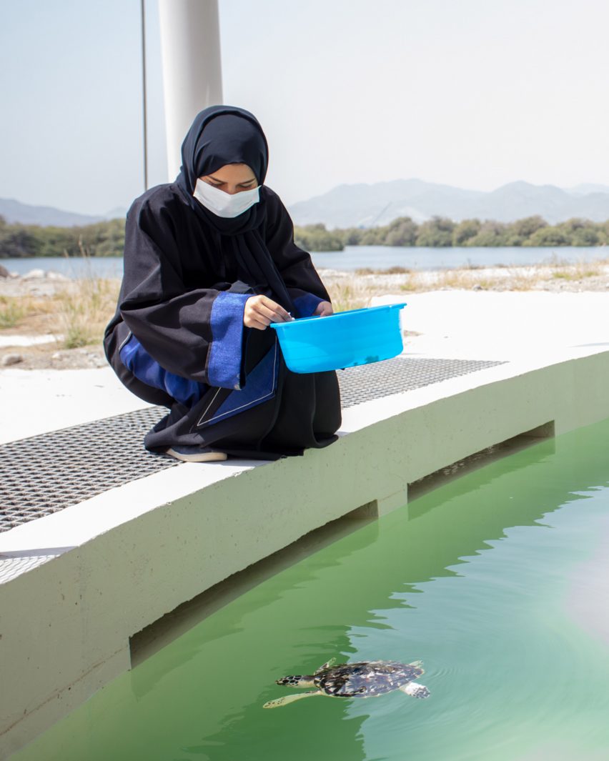 Khor Kalba Turtle Wildlife Sanctuary by Hopkins Architects