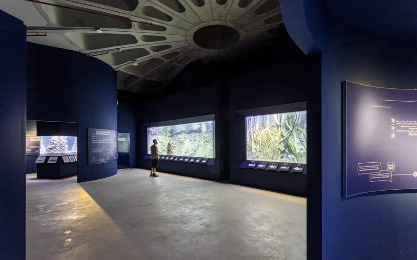 Khor Kalba Turtle Wildlife Sanctuary by Hopkins Architects