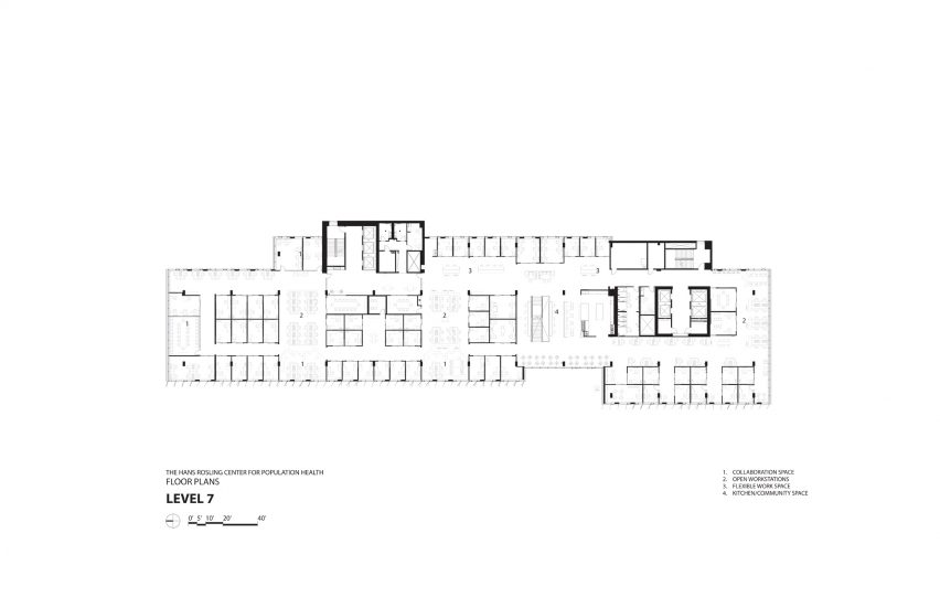 Level 7