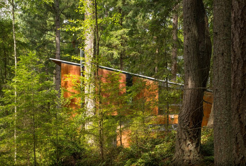 Little House/Big Shed within the trees