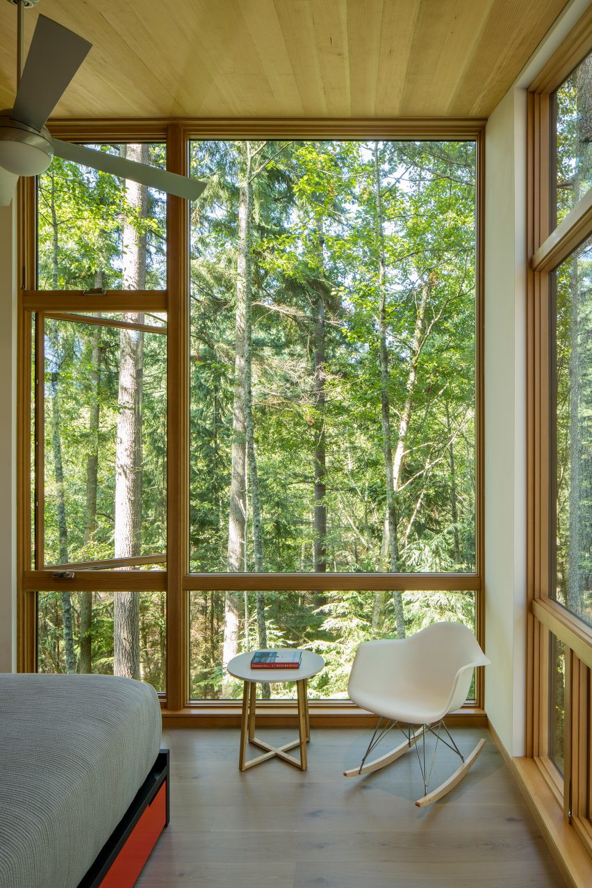 A forest view