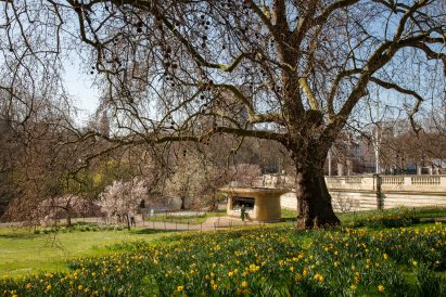 Coffee stand in St James's Park