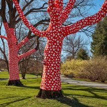 Yayoi Kusama wraps New York Botanical Garden trees in polka dots