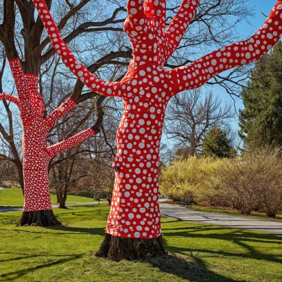 Yayoi Kusama wraps New York Botanical Garden trees in polka dots